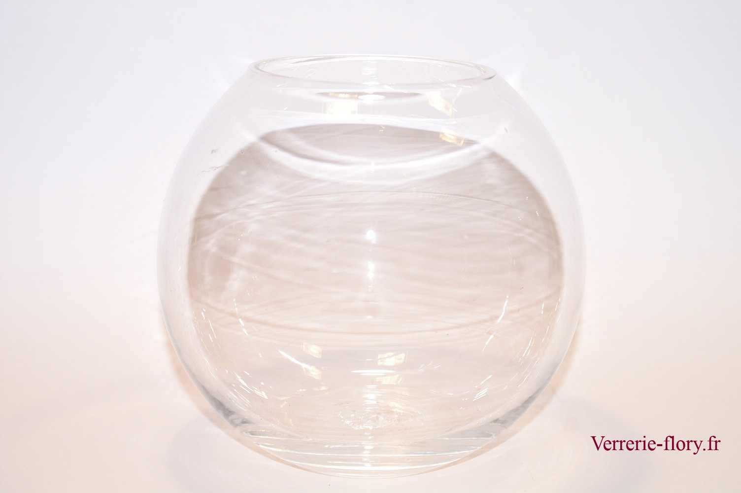 aquariums verre blanc  
