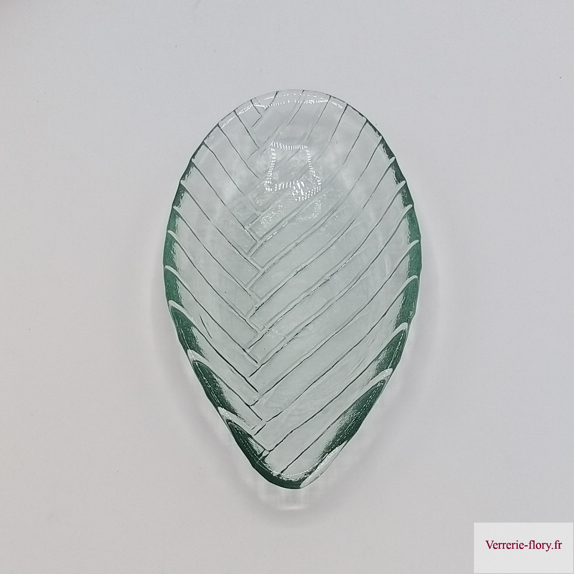 coupe_nervure_7894_b