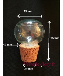 bouchon de verre avec embout en lige